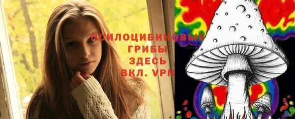 дживик Алексеевка