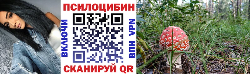 hydra зеркало  Кириши  Галлюциногенные грибы мухоморы  купить наркотик 